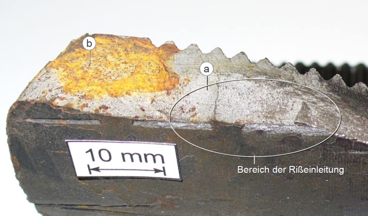 Segment 1 des Rohranschlußstutzens