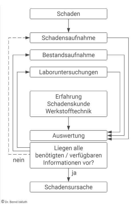 Ablaufschema einer Schadensuntersuchung